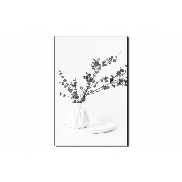 Obraz na plátně - Větev eukalyptu v bílé váze na bílém pozadí - obdélník